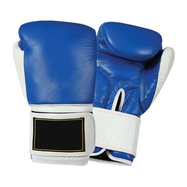 MMA Gloves