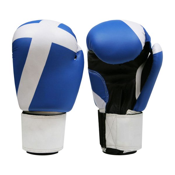 MMA Gloves