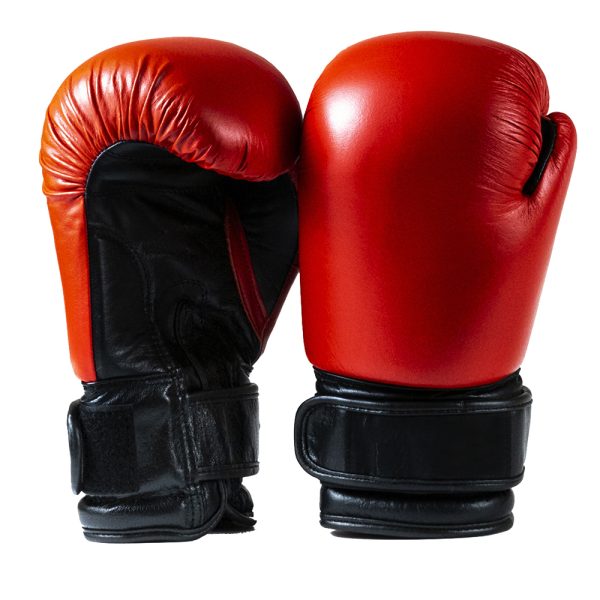 MMA Gloves